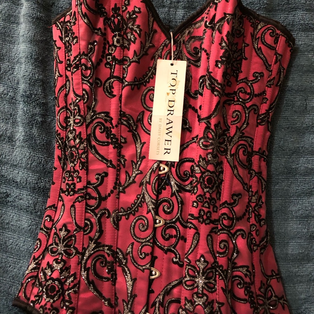 DaisyCorsets. NEW/tagsSizes S-XL (8 total) SOLD IN BUNDLE ONLY